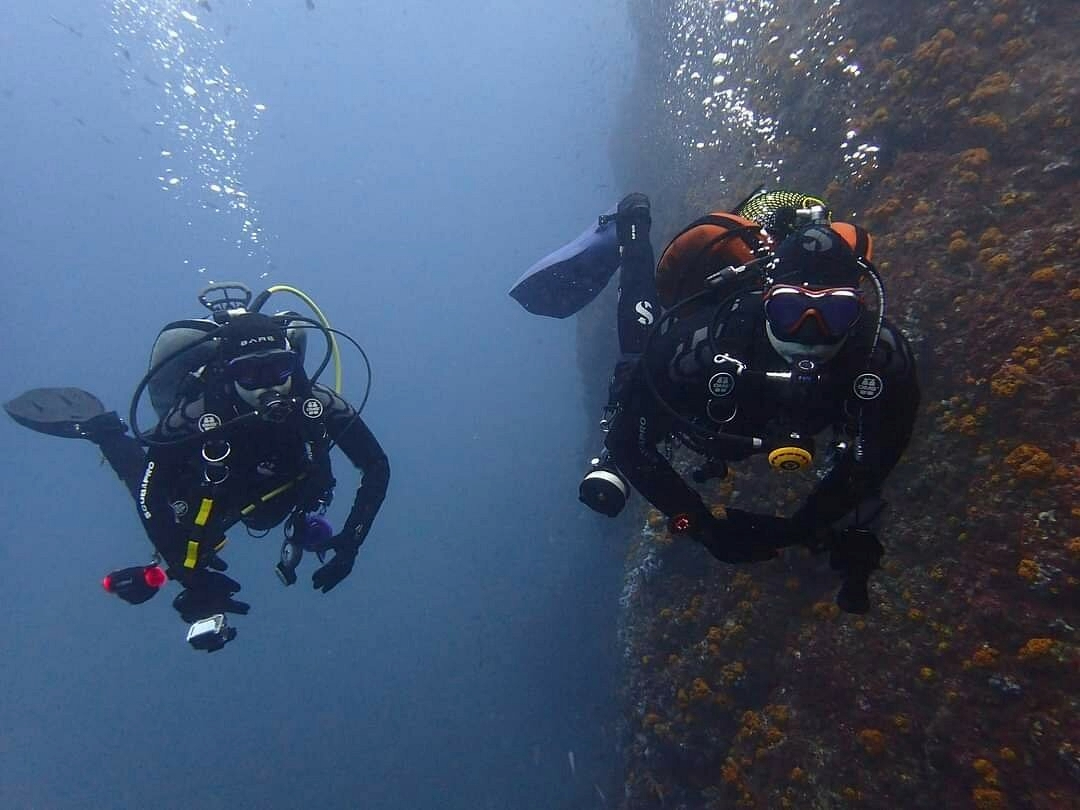 Diving With Nic 3