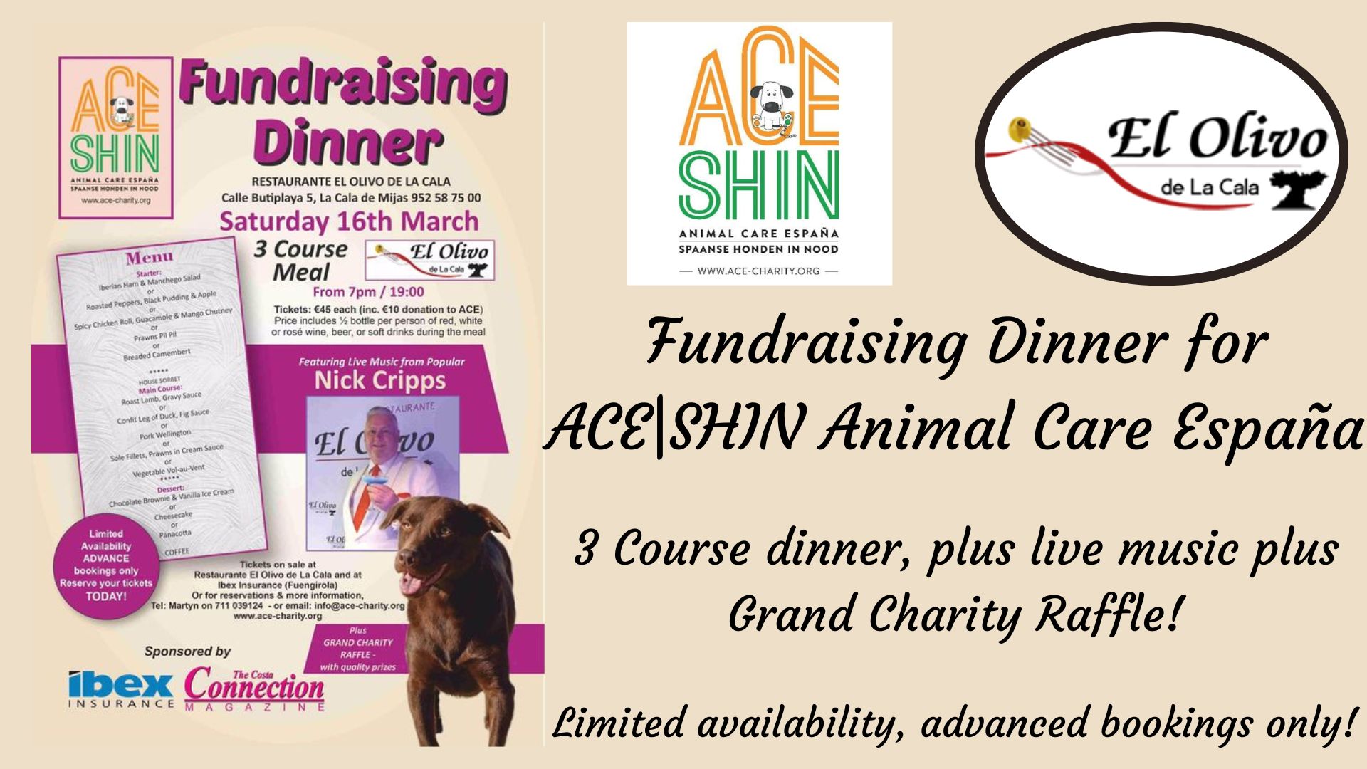 Fundraising Dinner For ACE|SHIN Animal Care España at El Olivo de La Cala